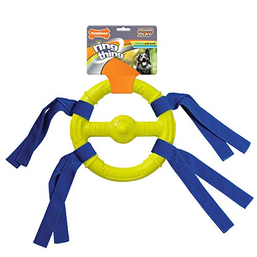 Nylabone Power Play Ring Thing Hundespielzeug, schwimmfähig, Größe M, 1 Stück von Nylabone