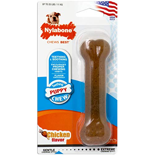 Nylabone Puppy Bone Flexible Chew Kauknochen von Nylabone