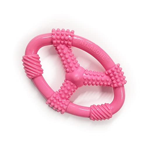 Nylabone Puppy Chew Spin Tug & Play Spielzeug Erdnussbutter Pink Medium/Wolf (1 Stück) von Nylabone