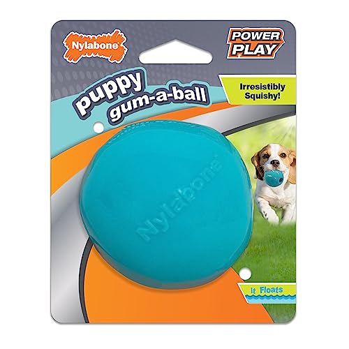 Nylabone Puppy Power Play Gum-a-Ball, klein/normal, 1 Stück von Nylabone