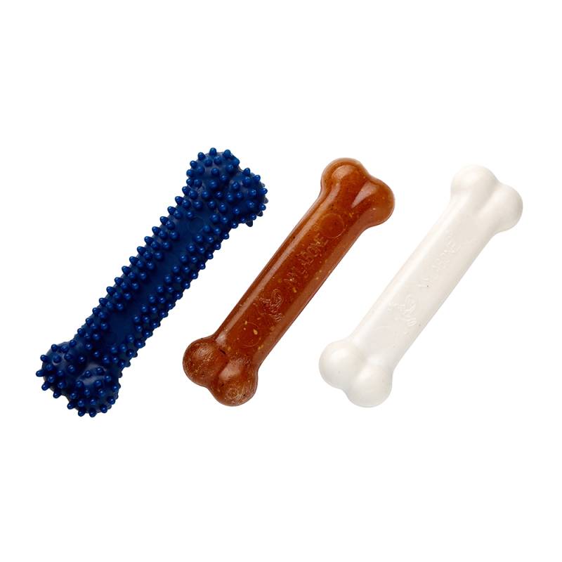 Nylabone Puppy Starter Kit Dog Chew - small von Nylabone