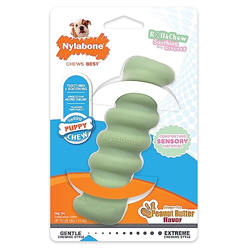 Nylabone Puppy Taktile Toys Stick klein / normal (1 Stück) von Nylabone