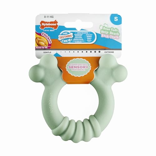 Nylabone, Beißring für Welpen aus sensorischem Material, Kauspielzeug, Geschmack: Huhn, Klein - Für Welpen bis 11 kg Nylabone, Beißring für Welpen aus sensorischem Material, Kauspielzeug, Geschmack: Huhn, Klein - Für Welpen bis 11 kg von Nylabone