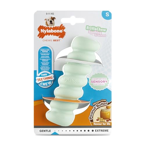 Nylabone, Welpenzahnstange aus sensorischem Material, Kauspielzeug, Erdnussbuttergeschmack, Klein - Für Welpen bis 11 kg Nylabone, Welpenzahnstange aus sensorischem Material, Kauspielzeug, Erdnussbuttergeschmack, Klein - Für Welpen bis 11 kg von Nylabone