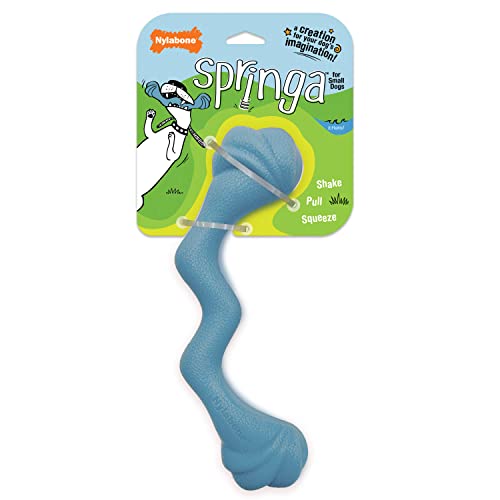 Nylabone Springa Interaktives Hundespielzeug für kleine Hunde, leicht, flexibel, schwimmfähig, für kreatives Spielen und Hundetraining von Nylabone