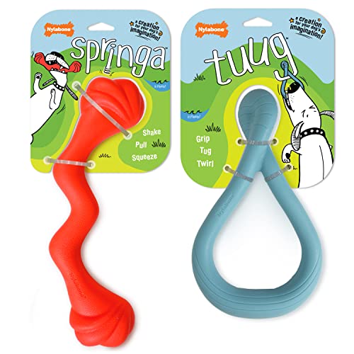 Nylabone Springa and Tuug Interaktives Hundespielzeug Bundle für Hunde - Leichtes Faszinierendes Hundespielzeug für kreatives Spielen & Hundetraining von Nylabone
