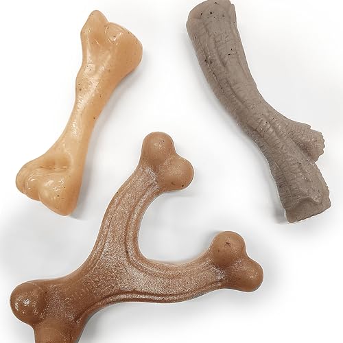 Nylabone Starkes Kauspielzeug-Bündel im Gourmet-Stil, Spielzeug für Hunde, Speck und Erdnussbutter-Geschmack, klein – bis zu 11,3 kg, 3 Stück Nylabone Starkes Kauspielzeug-Bündel im Gourmet-Stil, Spielzeug für Hunde, Speck und Erdnussbutter-Geschmack, klein – bis zu 11,3 kg, 3 Stück von Nylabone