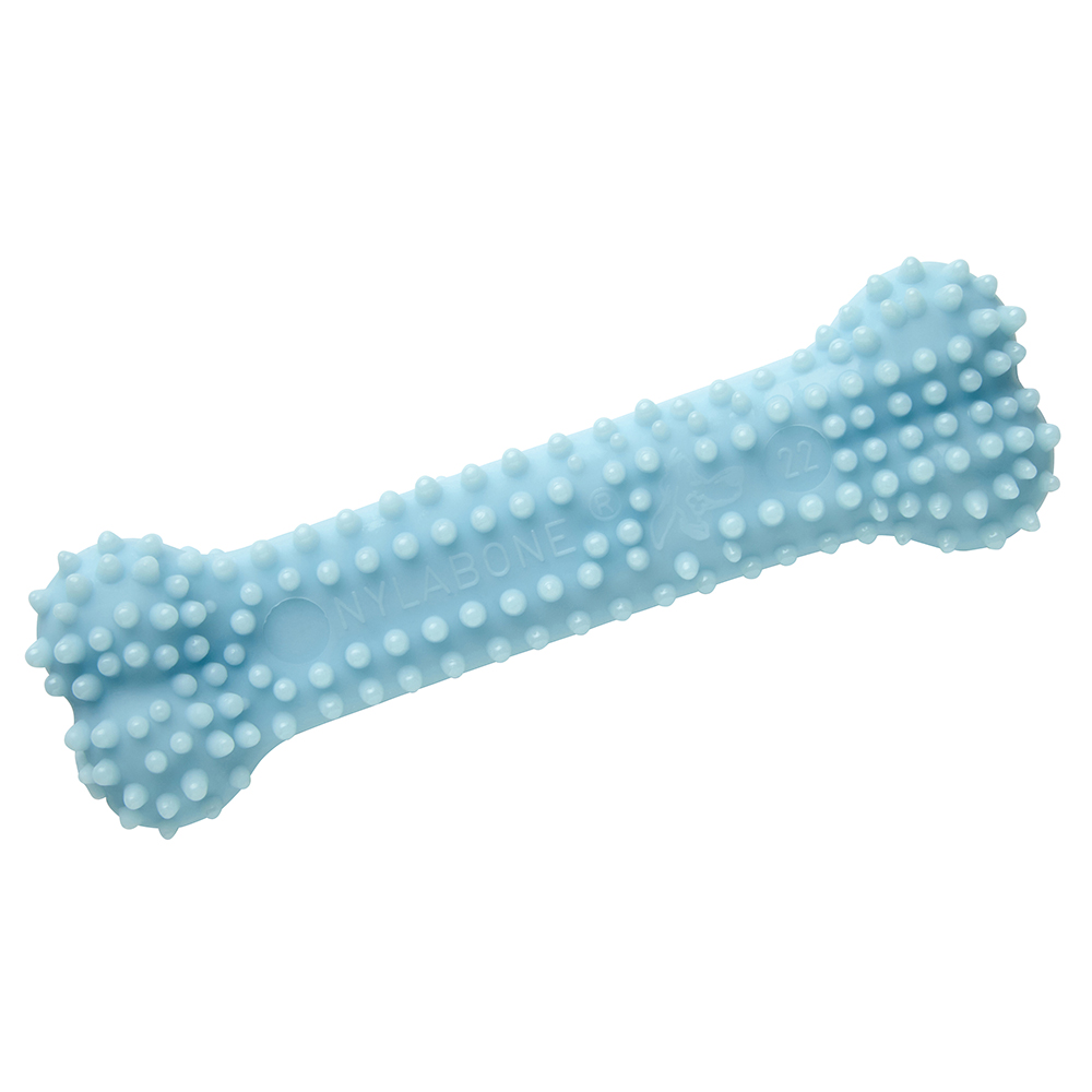 Nylabone Welpen Dental Kauknochen - L 9,5 x B 3 x H 1,5 cm Nylabone Welpen Dental Kauknochen - L 9,5 x B 3 x H 1,5 cm von Nylabone