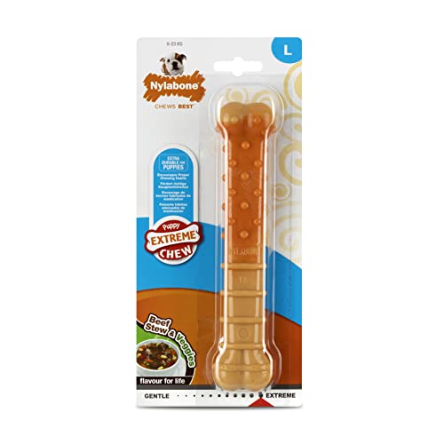 Nylabone Welpenknochen für extrem hartes Kauspielzeug, Geschmacksrichtung Rindfleisch & Gemüse, groß, für Welpen bis 23 kg Nylabone Welpenknochen für extrem hartes Kauspielzeug, Geschmacksrichtung Rindfleisch & Gemüse, groß, für Welpen bis 23 kg von Nylabone