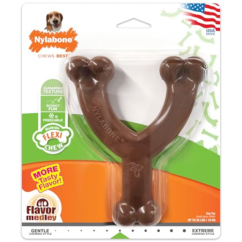 Nylabone Wishbone Flexi-Kauspielzeug für Hunde, Flexibles Hundespielzeug für moderates und sanftes Kauen, Geschmack Medley-Geschmack, mittel – bis zu 15,9 kg, 1 Stück Nylabone Wishbone Flexi-Kauspielzeug für Hunde, Flexibles Hundespielzeug für moderates und sanftes Kauen, Geschmack Medley-Geschmack, mittel – bis zu 15,9 kg, 1 Stück von Nylabone