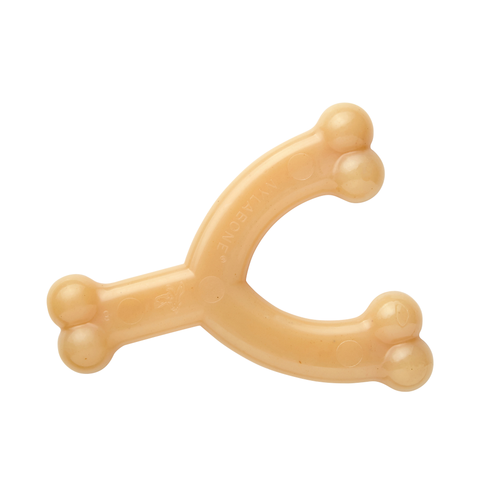 Nylabone Wishbone Kauspielzeug mit Hühnchengeschmack - Größe M: L 15 x B 12 x H 2,5 cm von Nylabone