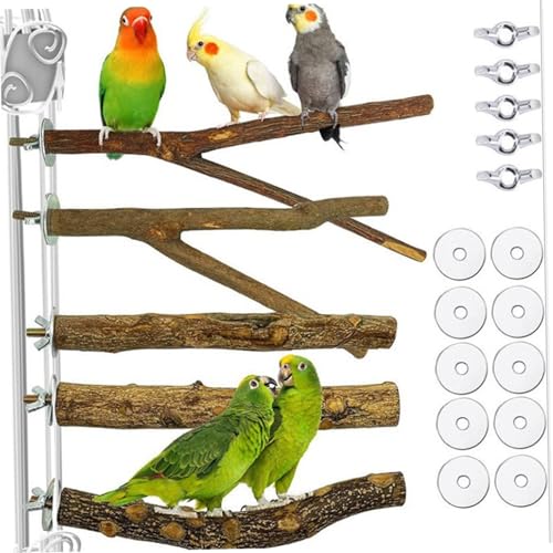 5 Stücke Papageienspielzeug, Naturholzvogel Barch Zweige Holzpapagei 5 Stücke Papageienspielzeug, Naturholzvogel Barch Zweige Holzpapagei von Nyutcwe