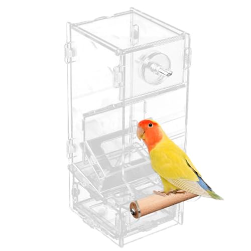 Automatischer Vogelhäuschen für Käfig 3x3, 5 x 8 Zoll transparent kein Messvogelfutter mit Barsch und großer Fütterungsanschluss nachfüllbarer Käfig für Papageien, kleine Vögel von Nyutcwe