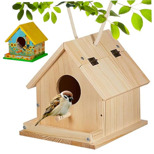 Bird House Kit, Holzvogelhäuser zum Malen und Bauen, DIY -Vogelhaus -Kits mit Pinsel, Schraubendreher, Befestigungsschrauben und 6 Farben Farben für Kinder 3+ von Nyutcwe