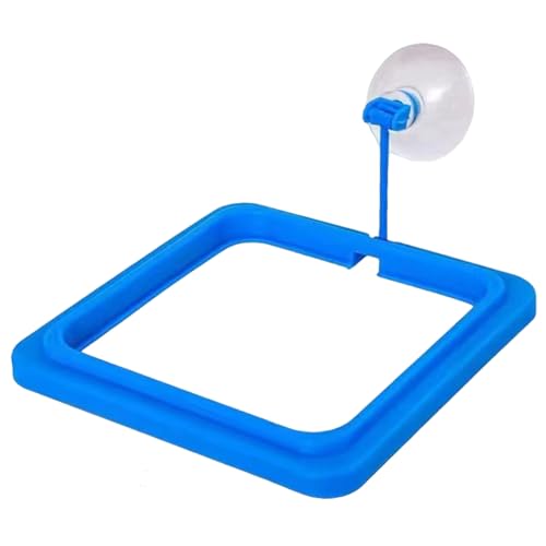 Fisch -Fütterungsring mit Saugnapfbecher, 4x4 Quadratschildkrötenfuttermittel, Fischfutterhalter für Schildkröten Schildkröte Guppy Koi Puffer, Wasserpanzerzubehör Wasserschildkrötenpanzer Fisch -Fütterungsring mit Saugnapfbecher, 4x4 Quadratschildkrötenfuttermittel, Fischfutterhalter für Schildkröten Schildkröte Guppy Koi Puffer, Wasserpanzerzubehör Wasserschildkrötenpanzer von Nyutcwe