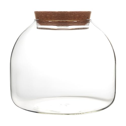 Glasterrarium für Pflanzen, 1600 ml Pflanzen -Terrarium mit Korkdeck von Nyutcwe