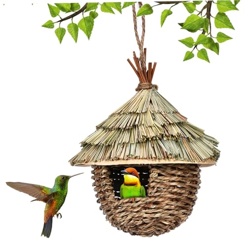Hummingbird House, natürliche Grasvogelhäuser für Außen Hummingbird House, natürliche Grasvogelhäuser für Außen von Nyutcwe
