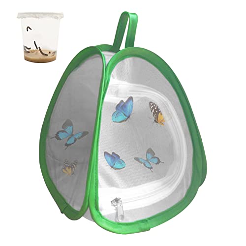 Schmetterlingshäuser Kleiner Dreieck Schmetterling Zuchtkäfig für Anfänger Schmetterlinge Seidenraupe Käfig für Haus warmes Bruthaus (zufällige Farbe) von Nyutcwe