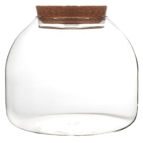 Terrariumglas, 5, 9 x 5, 1 Zoll transparentes Glaspflanzen -Terrarium mit Holzunterbrechungen, runde Fischschüsselglas für saftige Pflanzenblumentischdekorationen von Nyutcwe