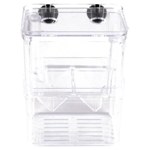 Züchterbox für Fischtank 2 Fisch -Isolationskasten für Aquarium mit Saugnapfbecher und Fütterungsanschluss transparentes Plastikzücht für Babys, Garnelen, Garnelen, Shrimps von Nyutcwe