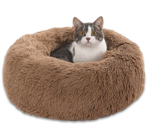 Nzoike Hundebett Flauschig Donut Plüsch Katzenbett Hundekissen, Waschbar Rund Hundebetten für Kleine, Mittelgroße Hunde Katzen, Braun 50cm Nzoike Hundebett Flauschig Donut Plüsch Katzenbett Hundekissen, Waschbar Rund Hundebetten für Kleine, Mittelgroße Hunde Katzen, Braun 50cm von Nzoike