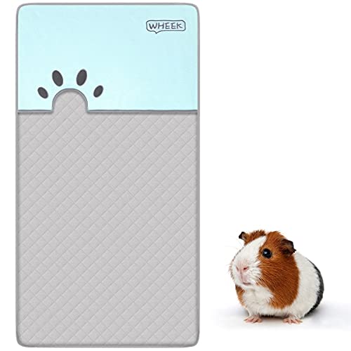 Guinea Pig Cage Liner - Meerschweinchen Käfig Zubehoer, Pipi Pads mit Kleintierhöhle Buddelkiste für Kaninchen Hamster Katzen Chinchilla, Super Saugfähige Matte und Wasserdichte Unterseite 120 × 61 cm von O'Loré