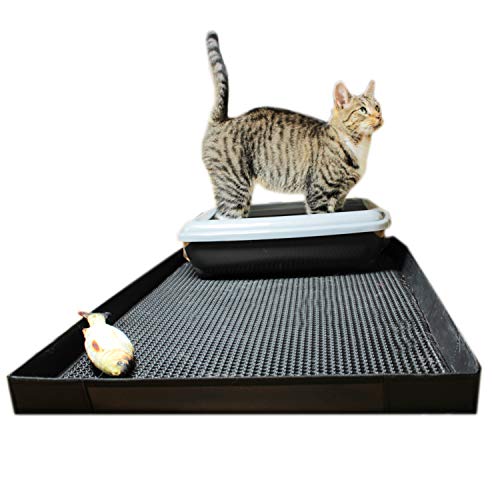 O&K GRUPPE Katzenklo Matte mit Kanten, Katzentoilette Waben Design,Katzenstreu doppelte wasserdichte 75 * 55 * 4 mit Spielzeug O&K GRUPPE Katzenklo Matte mit Kanten, Katzentoilette Waben Design,Katzenstreu doppelte wasserdichte 75 * 55 * 4 mit Spielzeug von O&K GRUPPE