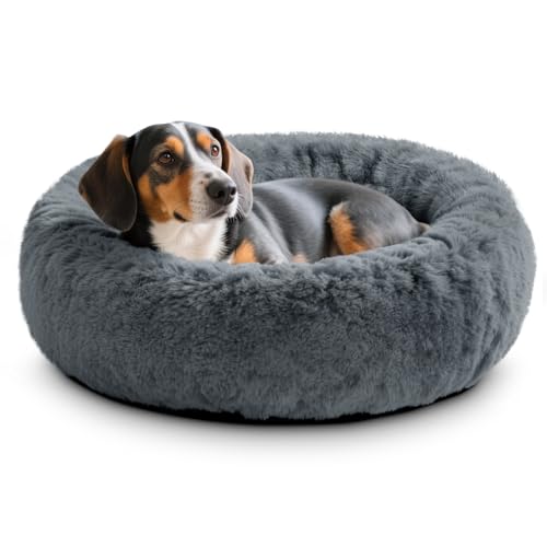 O·Lankeji Hundebett rund Hochflor Kunstfell, Hundekörbchen Waschbar herausnehmbar, Katzenbett flauschig mit Rutschfester Unterseite, Hunde Donut Bett für Kleine Mittelgroße Grosse Hunde O·Lankeji Hundebett rund Hochflor Kunstfell, Hundekörbchen Waschbar herausnehmbar, Katzenbett flauschig mit Rutschfester Unterseite, Hunde Donut Bett für Kleine Mittelgroße Grosse Hunde von O·Lankeji