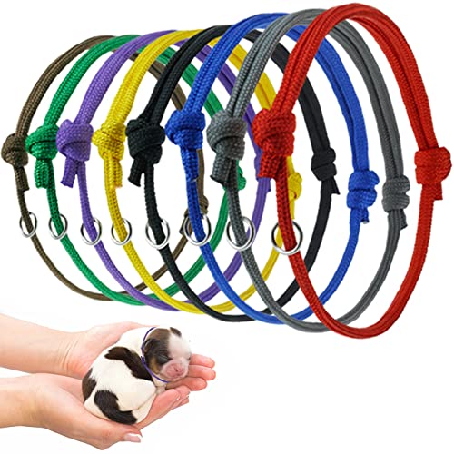 8 Stück Hundehalsband,Welpen ID Halsbänder Welpenhalsbänder Einstellbar Soft Welpen Halsbänder Neugeborene Haustierhalsbänder Doppelseitige Einstellbare Weiche Welpen Kitten Halsbänder-8 Farben von O5O2