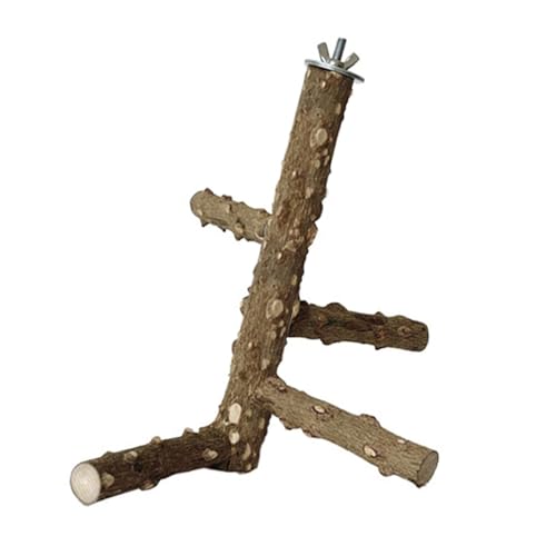 Klettern Leiter Hangringe Vogelspielzeug Haltbarkeit Holz Vogel Papageienplattform Für EIN Gesundes Spiel von OAJABBGE