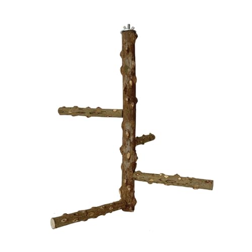 Klettern Leiter Hangringe Vogelspielzeug Haltbarkeit Holz Vogel Papageienplattform Für EIN Gesundes Spiel von OAJABBGE