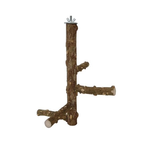 Klettern Leiter Hangringe Vogelspielzeug Haltbarkeit Holz Vogel Papageienplattform Für EIN Gesundes Spiel von OAJABBGE