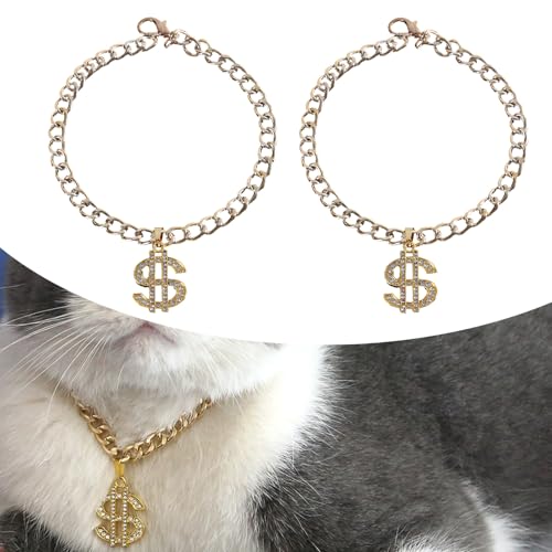 OAJABBGE Beliebte Katzenkragen Halskette Strassstunde Schreiben Anhänger Halskette Haustier Halsring 2pcs Dekorative Kragen Haustierschmuck von OAJABBGE