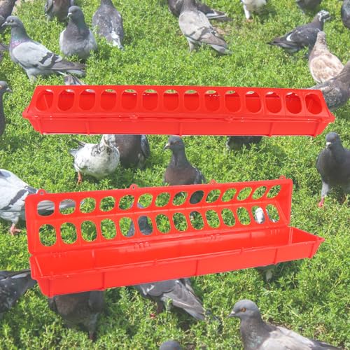 OAJABBGE Kunststoffmuschel Fütterung Hähnchen Grooves Geflügel Fütterungsausrüstung Farm Zucht Zur Automatisierten Fütterung von OAJABBGE