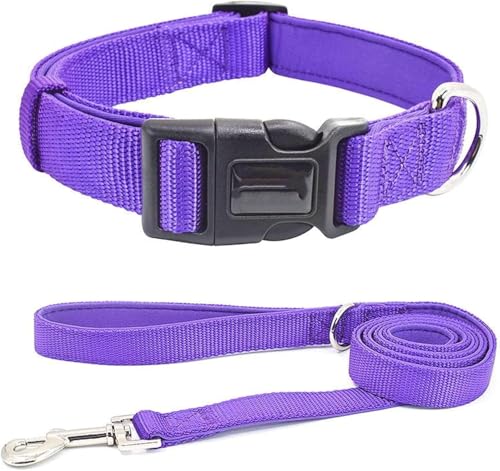 Robustes taktisches Hundehalsband und Leinen-Set, Militärisches Trainingshalsband for kleine, mittelgroße und große Hunde, bequemes personalisiertes Nylonhalsband(Purple Set,M) von OAOAO