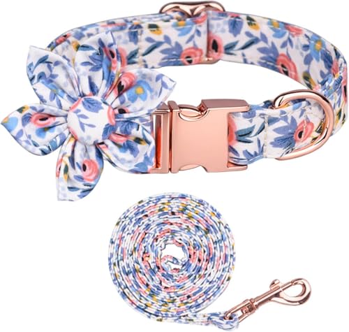 Verstellbare Welpenhalsbänder mit Metallschnalle, Hundehalsband und Leine Set for kleine, mittelgroße und große Hunde, modische und Bequeme Halsbänder for Jungen und Mädchen(Blue Set,M) von OAOAO