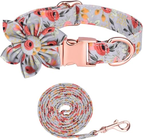 Verstellbare Welpenhalsbänder mit Metallschnalle, Hundehalsband und Leine Set for kleine, mittelgroße und große Hunde, modische und Bequeme Halsbänder for Jungen und Mädchen(Green Set,M) von OAOAO
