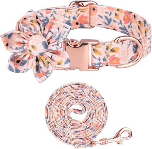 Verstellbare Welpenhalsbänder mit Metallschnalle, Hundehalsband und Leine Set for kleine, mittelgroße und große Hunde, modische und Bequeme Halsbänder for Jungen und Mädchen(Orange Set,L) von OAOAO