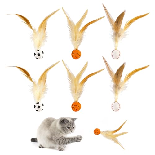 OAOSDH 6 Stücke Federstreckbälle, Kreative Sportbälle, Katzenstöcke, Interaktiver Stil In Indoor, Unterhaltsame Unterhaltungsspielzeuge, Haustiervorräte. OAOSDH 6 Stücke Federstreckbälle, Kreative Sportbälle, Katzenstöcke, Interaktiver Stil In Indoor, Unterhaltsame Unterhaltungsspielzeuge, Haustiervorräte. von OAOSDH