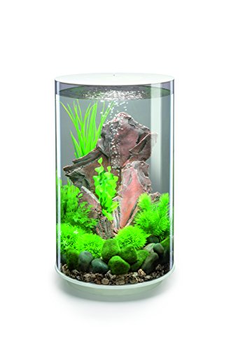 biOrb TUBE 30 LED Aquarium, 30 Liter - Aquarien Komplett-Set mit LED Beleuchtung und patentiertem Filter-System, Acryl-Becken von biOrb