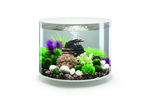 biOrb TUBE 35 LED Aquarium (35 Liter) - Aquarien-Komplett-Set mit LED Beleuchtung und patentiertem Filter-System | Acryl-Becken von biOrb