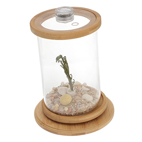 OATIPHO 1 Satz Desktop Micro View Aquarium Transparentes Aquarium Desktop-Dekoration Betta Aquarium Mini-Aquarium Hydroponischer Reinigungstank Terrarium Eco-Flasche Glas Rotieren von OATIPHO