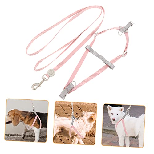 OATIPHO 1satz Hundegeschirr Und Set Für Kleine Hunde Verstellbar Und Atmungsaktiv Für Trendigen Farben Ringen Einfach Zu Bedienen OATIPHO 1satz Hundegeschirr Und Set Für Kleine Hunde Verstellbar Und Atmungsaktiv Für Trendigen Farben Ringen Einfach Zu Bedienen von OATIPHO