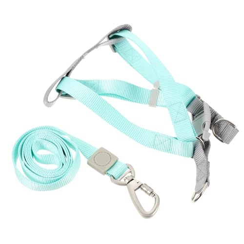 OATIPHO Verstellbares Set Mit Leine Für Hunde Leicht Kompakt Mehrfarbig Für Outdoor-aktivitäten Von Haustieren OATIPHO Verstellbares Set Mit Leine Für Hunde Leicht Kompakt Mehrfarbig Für Outdoor-aktivitäten Von Haustieren von OATIPHO