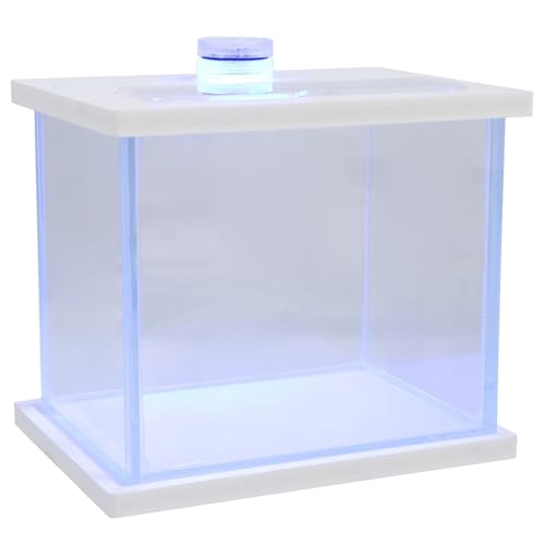 OATIPHO Aquarium Kleines Terrarium Aquarien-Starter-kit Desktop-dekor Winziges Fischbecken Tischdekoration Meeresfischbecken Klares Fischbecken Büro Runder Zylinder Glas Weiß Multifunktion von OATIPHO