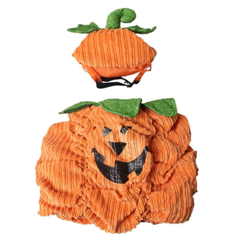 OATIPHO Halloween Haustierkostüm Warmes Kürbis Kostüm Orange Atmungsaktiv Für Kleine Mittelgroße Hunde Haustier Halloween Kleidung Party Zubehör OATIPHO Halloween Haustierkostüm Warmes Kürbis Kostüm Orange Atmungsaktiv Für Kleine Mittelgroße Hunde Haustier Halloween Kleidung Party Zubehör von OATIPHO