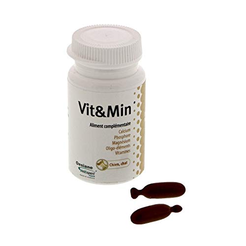 Vetexpert Vitaminex 60 Kapseln Vetexpert Vitaminex 60 Kapseln von Famry