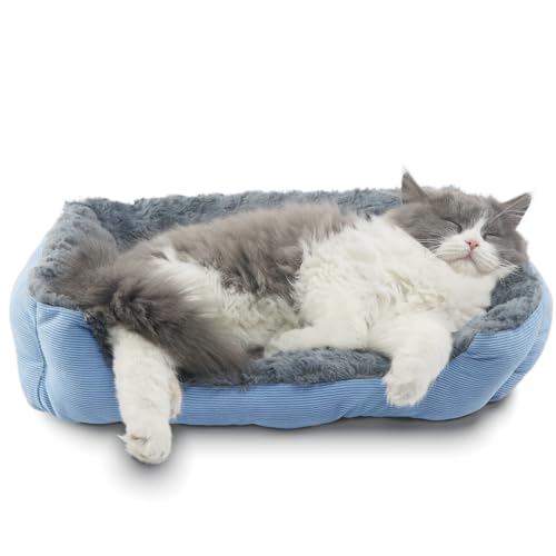 OCEATO Hundebetten für kleine Hunde, waschbar, rechteckig, für Kätzchen, 45,7 x 35,6 cm, kleine Größe, beruhigendes Sofa, extra gemütlich, Angst, Haustier-Sherpa, Katzenbett, rutschfest, Plüsch-Couch OCEATO Hundebetten für kleine Hunde, waschbar, rechteckig, für Kätzchen, 45,7 x 35,6 cm, kleine Größe, beruhigendes Sofa, extra gemütlich, Angst, Haustier-Sherpa, Katzenbett, rutschfest, Plüsch-Couch von OCEATO