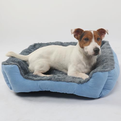 OCEATO Rechteckiges Haustierbett für kleine Hunde, waschbar, flauschiges blaues Katzenbett für den Innenbereich, rutschfest, super bequem, quadratisch, Sherpa-Haustierbett, passend für Katzen oder OCEATO Rechteckiges Haustierbett für kleine Hunde, waschbar, flauschiges blaues Katzenbett für den Innenbereich, rutschfest, super bequem, quadratisch, Sherpa-Haustierbett, passend für Katzen oder von OCEATO