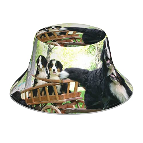Hunde-Familie, reflektierend, doppelseitig, reflektierend, gestreift, Sonnenhut, Fischerhut Hunde-Familie, reflektierend, doppelseitig, reflektierend, gestreift, Sonnenhut, Fischerhut von OCELIO